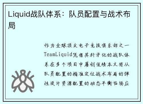 Liquid战队体系：队员配置与战术布局