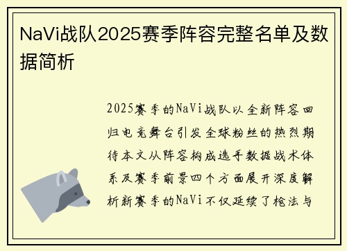 NaVi战队2025赛季阵容完整名单及数据简析