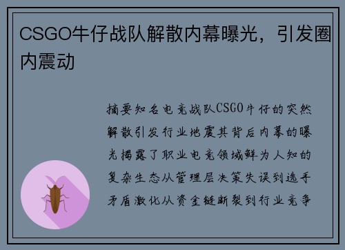CSGO牛仔战队解散内幕曝光，引发圈内震动